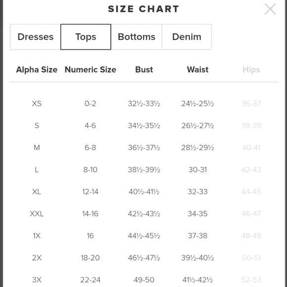 Classic Denim Blazer Vintage - Picture 4 of 4